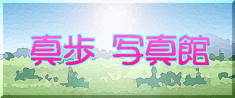 ^ ʐ^